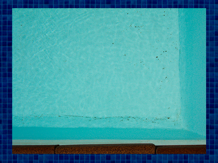 DSC01405.png