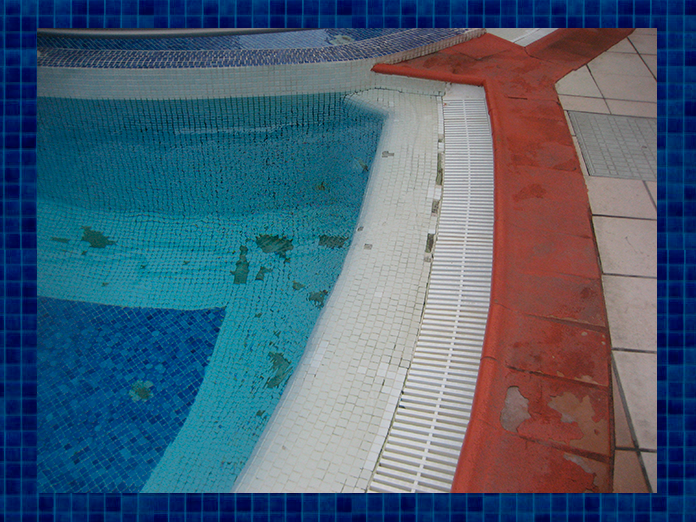 IMG_0356.png